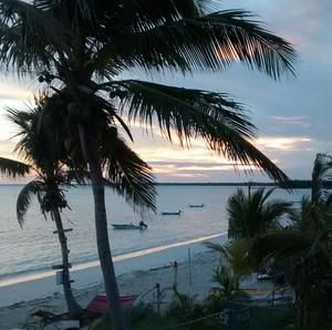 Meet your Posher, Cathy